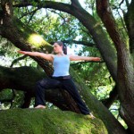 metairie-yoga-warrior-oaktree