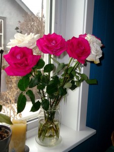 roses
